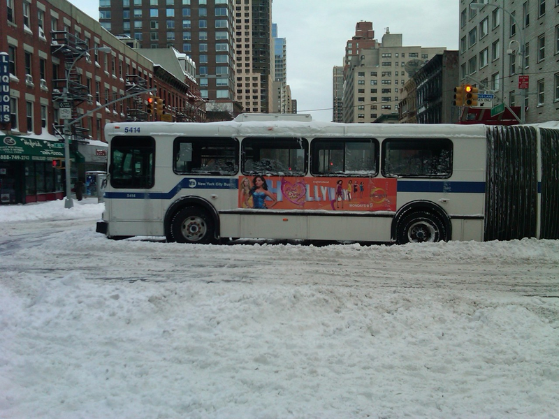 Illustration for article titled The New York City Snowpocalypse In Pictures